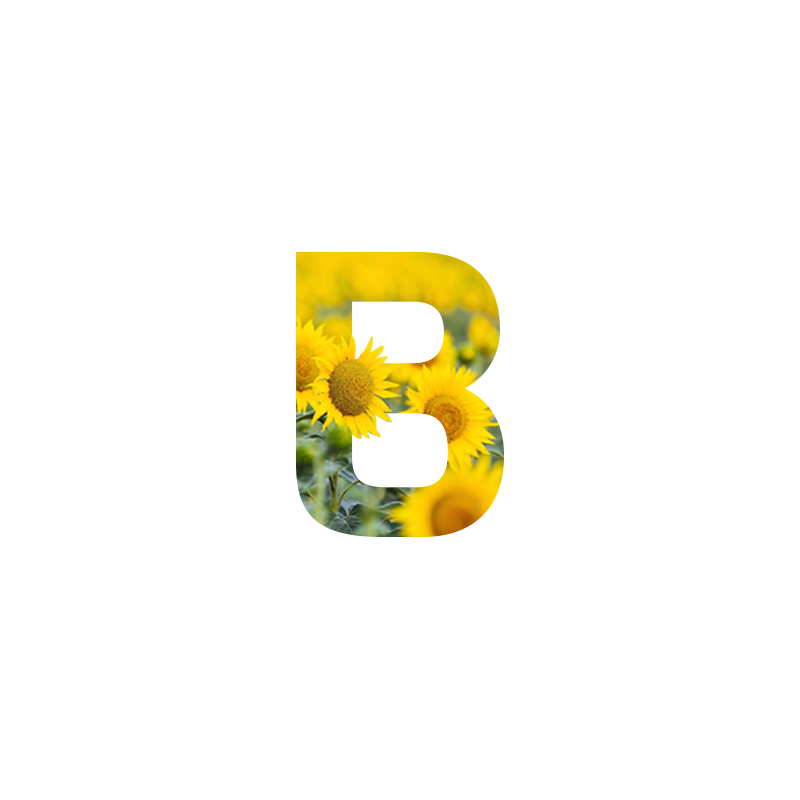 Bitar logo with sunflowers decor